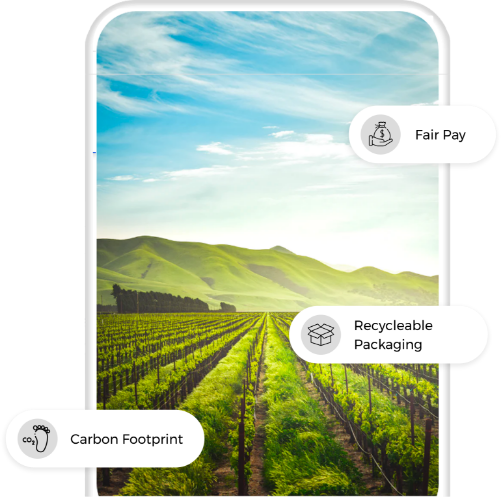 food traceability, food supply chain, traceability practices, blockchain traceability