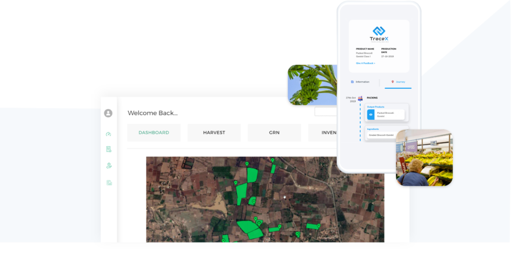food traceability, food supply chain, blockchain traceability, traceability in agriculture