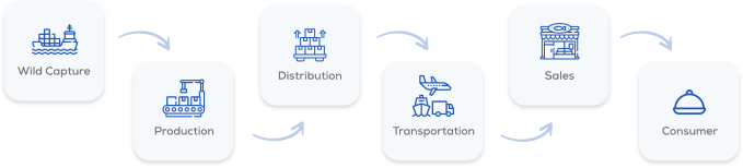 food traceability, food supply chain, traceability practices, blockchain traceability