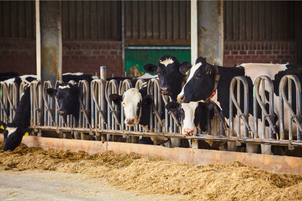 food traceability, food supply chain, blockchain traceability, traceability in agriculture