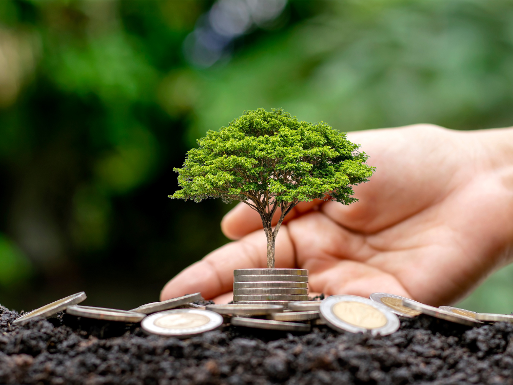 food traceability, food supply chain, blockchain traceability, sustainability