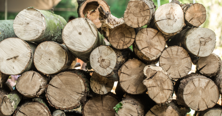 wood supply chain in netherlands, wood supply chain, wood supply chain for eudr compliance