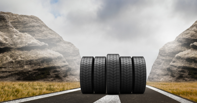EUDR DDS for the Tyre Supply Chain in Spain, EUDR DDS for the Tyre Supply Chain, tyre supply chain, tyre supply chain in spain, eudr compliance, eudr