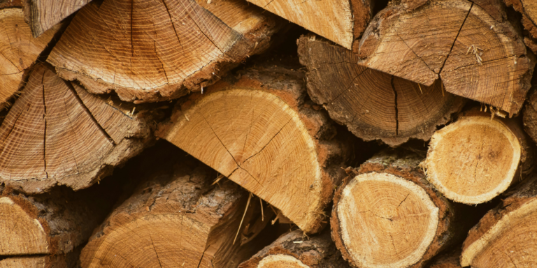 EUDR Compliance for Wood Exporters in Malaysia, EUDR Compliance for Wood Exporters, Wood Exporters in Malaysia, Wood Exporters, eudr compliance, eudr