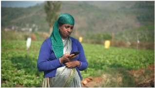 Farm Management for Export, Farm Management Platforms for exports