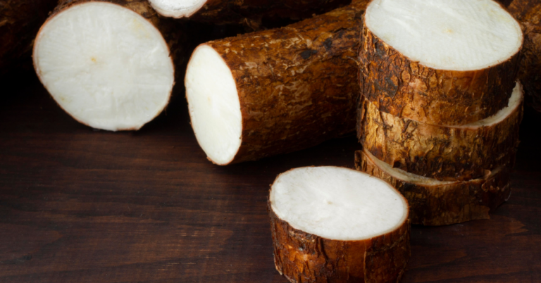 cassava supply chain in benin , cassava supply chain in Traceability benin, Traceability in the cassava Supply Chain