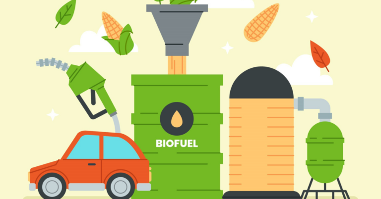 Traceability in the biomass supply chain, biomass supply chain, biomass traceability