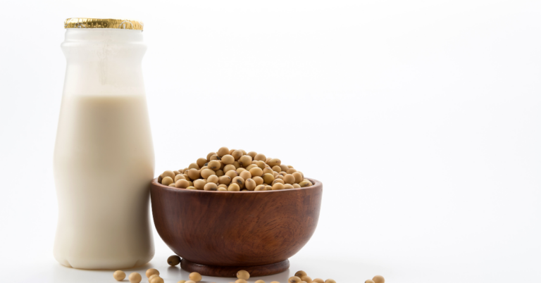 Soy Supply Chain in Ghana, Soy Supply Chain traceability in Ghana, Traceability in the Soy Supply Chain