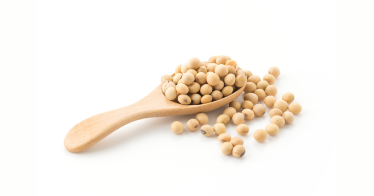 Aggregation Risk in Oilseed Supply Chains, Oilseed Supply Chains