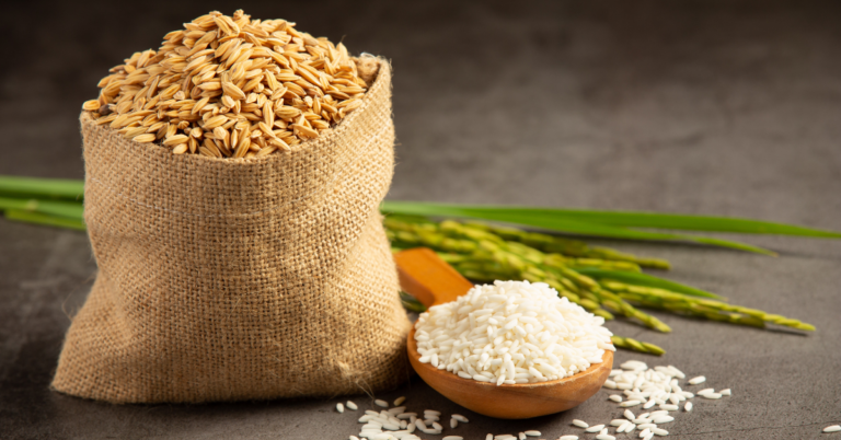 Top 10 Global Rice Exporters, 10 Global Rice Exporters, Global Rice Exporters