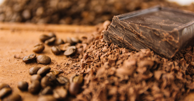 Supplier Data Collection in EUDR for the Cocoa Supply Chain in germany