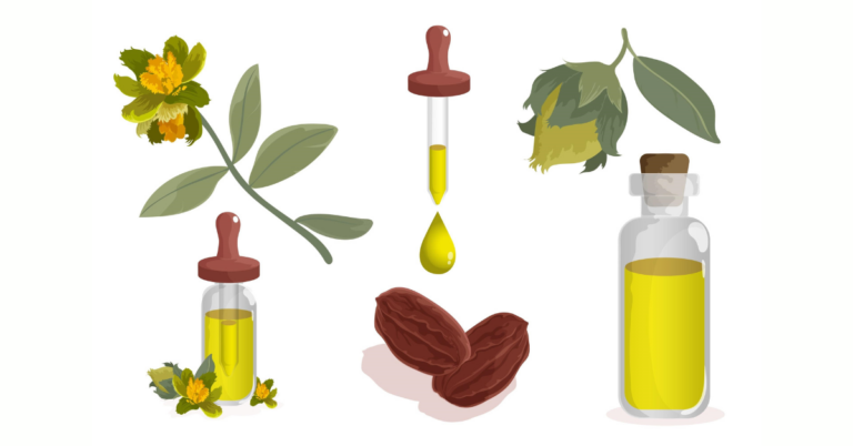 Traceability in seed oils, seed oils traceability