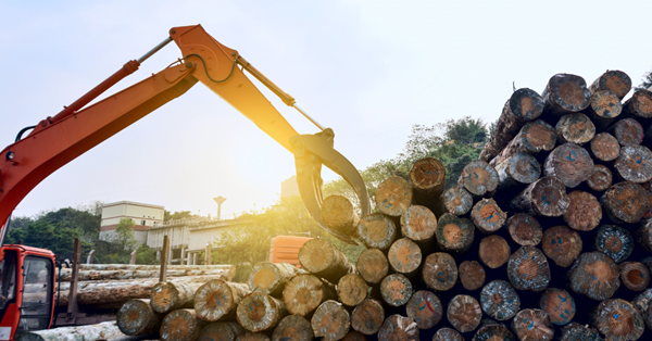 ILPA compliance, ILPA Regulatory Guide for Timber Importers, Timber compliance solutions, timber compliance, australia illegal logging prohibition act Regulatory Guide