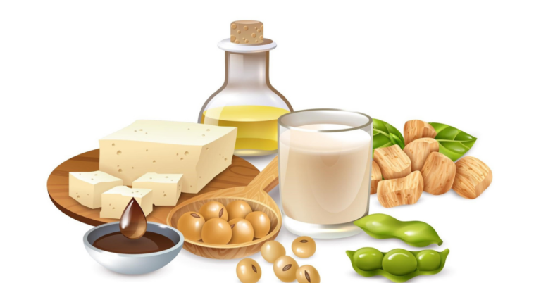 Supplier Data Collection in EUDR for the Soy Supply Chain in spain