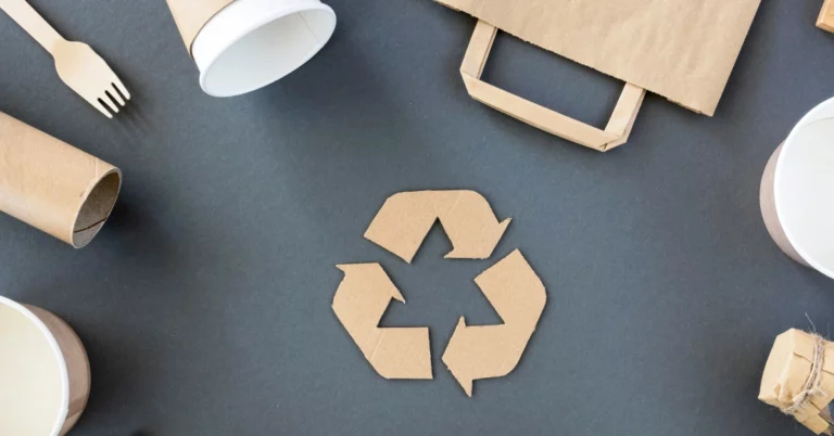 Circular Economy for Packaging Businesses, circular packaging, sustainable packaging, recyclable packaging